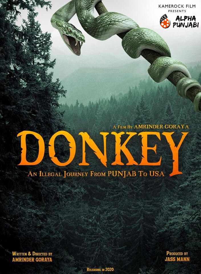 Donkey Punjabi Movie Poster